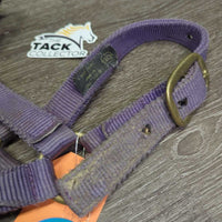 Thick Nylon Halter *gc/fair, faded, stains, discolored, rubs, frayed edges, residue, loose label
