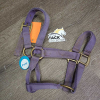 Thick Nylon Halter *gc/fair, faded, stains, discolored, rubs, frayed edges, residue, loose label
