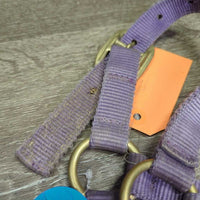 Thick Nylon Halter *gc/fair, faded, stains, discolored, rubs, frayed edges, residue, loose label
