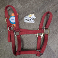 Original Narrow Nylon Halter *gc, rubs, mnr dirt, scratches & stains
