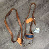 Vintage Double Stitch Leather Steer Show Halter, Chain & Leather Lead Shank *vgc, dry, dirt, stains, scrapes, bent, rust
