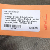 Vintage Double Stitch Leather Steer Show Halter, Chain & Leather Lead Shank *vgc, dry, dirt, stains, scrapes, bent, rust
