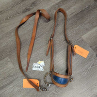 Vintage Double Stitch Leather Steer Show Halter, Chain & Leather Lead Shank *vgc, dry, dirt, stains, scrapes, bent, rust
