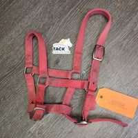 Narrow Nylon Halter, adj, snap *gc/fair, clean, dirt, faded, stained, residue, scuffs
