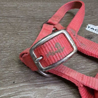 Narrow Nylon Halter, adj, snap *gc/fair, clean, dirt, faded, stained, residue, scuffs
