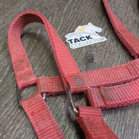 Narrow Nylon Halter, adj, snap *gc/fair, clean, dirt, faded, stained, residue, scuffs
