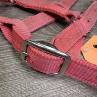 Narrow Nylon Halter, adj, snap *gc/fair, clean, dirt, faded, stained, residue, scuffs
