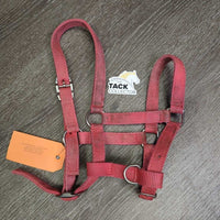 Narrow Nylon Halter, adj, snap *gc/fair, clean, dirt, faded, stained, residue, scuffs
