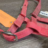 Narrow Nylon Halter, adj, snap *gc/fair, clean, dirt, faded, stained, residue, scuffs
