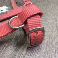 Narrow Nylon Halter, adj, snap *gc/fair, clean, dirt, faded, stained, residue, scuffs

