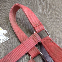 Narrow Nylon Halter, adj, snap *gc/fair, clean, dirt, faded, stained, residue, scuffs
