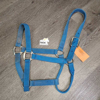 Nylon Halter *gc/fair, clean, faded, stains, residue, oxidization, frays, snags, threads

