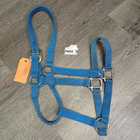 Nylon Halter *gc/fair, clean, faded, stains, residue, oxidization, frays, snags, threads
