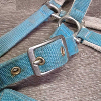 Padded Nylon Halter, adj, snap *gc/fair, clean, faded, mnr dirt, stained, dingy, mnr hair, rubbed, scuffs, frays, snags, pills, rust
