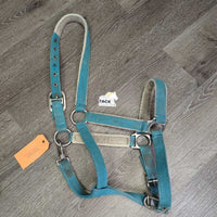 Padded Nylon Halter, adj, snap *gc/fair, clean, faded, mnr dirt, stained, dingy, mnr hair, rubbed, scuffs, frays, snags, pills, rust

