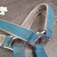 Padded Nylon Halter, adj, snap *gc/fair, clean, faded, mnr dirt, stained, dingy, mnr hair, rubbed, scuffs, frays, snags, pills, rust
