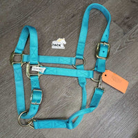 Nylon Halter, adj, snap *xc, clean, mnr stains
