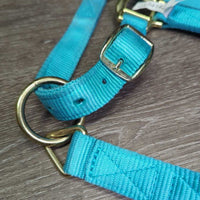 Nylon Halter, adj, snap *xc, clean, mnr stains

