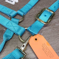 Nylon Halter, adj, snap *xc, clean, mnr stains
