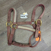 Nylon Halter *fair, dirt, residue, stained, faded, rubs
