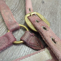 Nylon Halter *fair, dirt, residue, stained, faded, rubs
