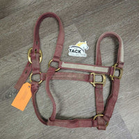Nylon Halter *fair, dirt, residue, stained, faded, rubs
