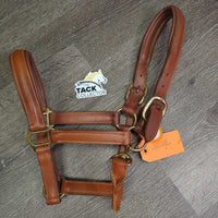 Padded Thick Leather Halter, snap *vgc/xc, clean, mnr rubs, scrapes, scratches, stains & dust/dirt, stiff
