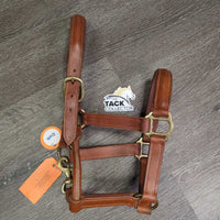 Padded Thick Leather Halter, snap *vgc/xc, clean, mnr rubs, scrapes, scratches, stains & dust/dirt, stiff
