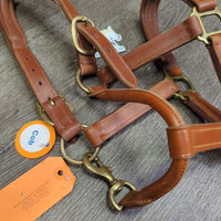 Padded Thick Leather Halter, snap *vgc/xc, clean, mnr rubs, scrapes, scratches, stains & dust/dirt, stiff
