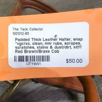 Padded Thick Leather Halter, snap *vgc/xc, clean, mnr rubs, scrapes, scratches, stains & dust/dirt, stiff
