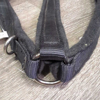 Felt Lined Nylon Breast Collar, straps, center d ring, snap *xc, mnr hair, rubs
