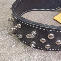 Spikes Wide Thick Hvy Leather Dog Collar, studs *like new, mnr film
