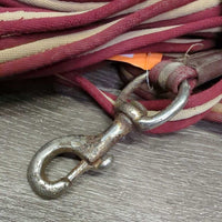 Padded Nylon Web Lunge Line, swivel *gc, dirt, smell, rusted, snags, pills, rubs, mnr hair
