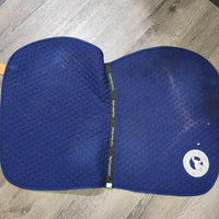 Thin Quilt Jumper Saddle Pad "Desert International Horse Park" *gc, clean, faded, v.hairy, thin/rubbed edges
