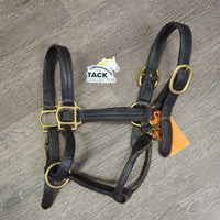 Triple Stitched Leather Halter, snap, adj *gc, thin edges, scrapes, clean, residue, cracking, dents
