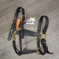 Triple Stitched Leather Halter, snap, adj *gc, thin edges, scrapes, clean, residue, cracking, dents
