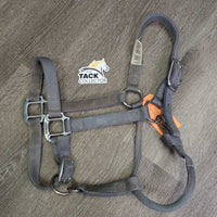 Thick Nylon Halter, snap, adj *gc, dirty, stained, rubs, snags, mnr faded
