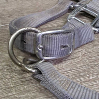 Thick Nylon Halter, snap, adj *gc, dirty, stained, rubs, snags, mnr faded
