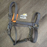 Thick Nylon Halter, snap, adj *gc, dirty, stained, rubs, snags, mnr faded
