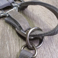 Thick Nylon Halter, snap, adj *gc, dirty, stained, rubs, snags, mnr faded

