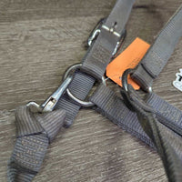 Thick Nylon Halter, snap, adj *gc, dirty, stained, rubs, snags, mnr faded
