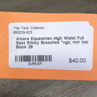 High Waist Full Seat Sticky Breeches *vgc, mnr hair
