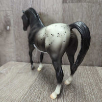 #62032 Black Blanket Appaloosa, 0 foal *vgc, mnr scuffs, residue
