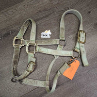 Thick Soft Nylon Halter, adj, snap *gc, v.stained, dirty, faded, discolored, edge frays, snags
