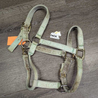 Thick Soft Nylon Halter, adj, snap *gc, v.stained, dirty, faded, discolored, edge frays, snags
