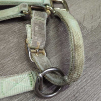 Thick Soft Nylon Halter, adj, snap *gc, v.stained, dirty, faded, discolored, edge frays, snags
