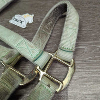 Thick Soft Nylon Halter, adj, snap *gc, v.stained, dirty, faded, discolored, edge frays, snags
