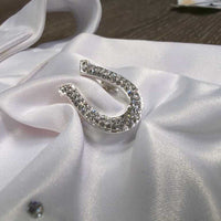 Satin Stock Tie, Attached Velcro Collar, Bling, Horseshoe Pin, Bag *new
