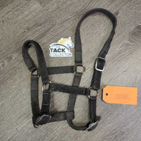 Stiff Nylon Halter, adj *fair, faded, rubs, stains, hairy, edge rubs & frays, rusty
