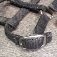 Stiff Nylon Halter, adj *fair, faded, rubs, stains, hairy, edge rubs & frays, rusty
